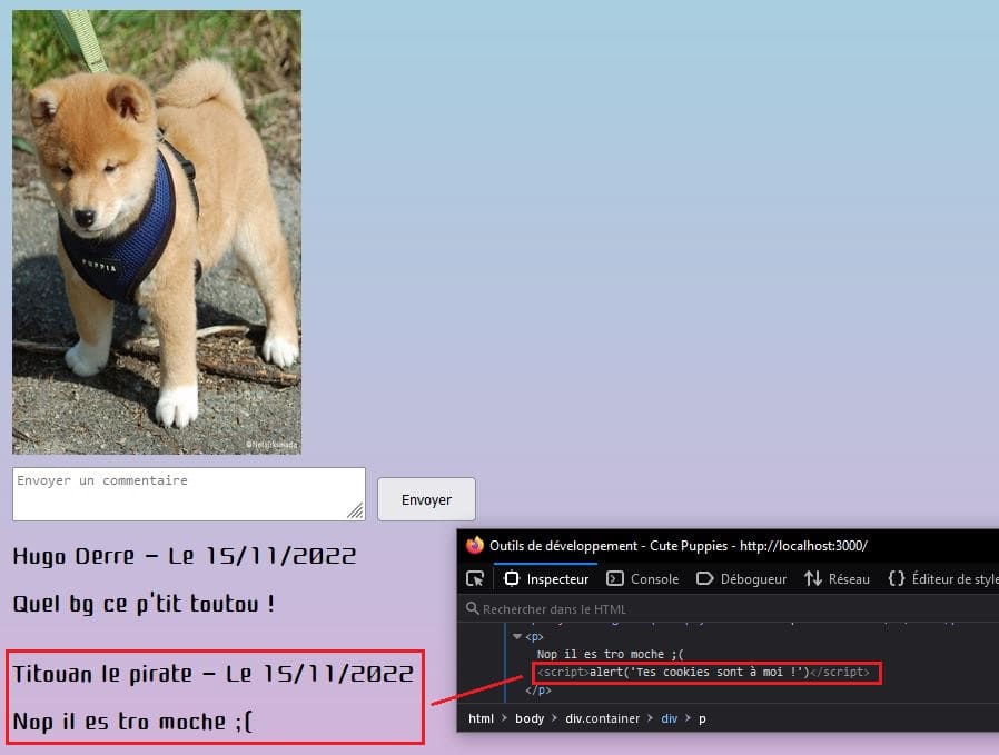 Capture d'écran du site qui sert d'exemple pour la faille XSS stockée.